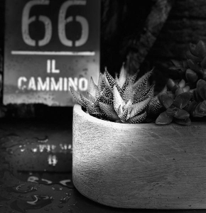 Il Cammino San Quirico D'orcia